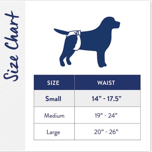 Top Paw Blue Washable Diaper Cover-Up and Disposable Diapers Size Small - Picture 16 of 16